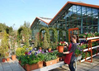 spazio espositivo esterno del vivaio