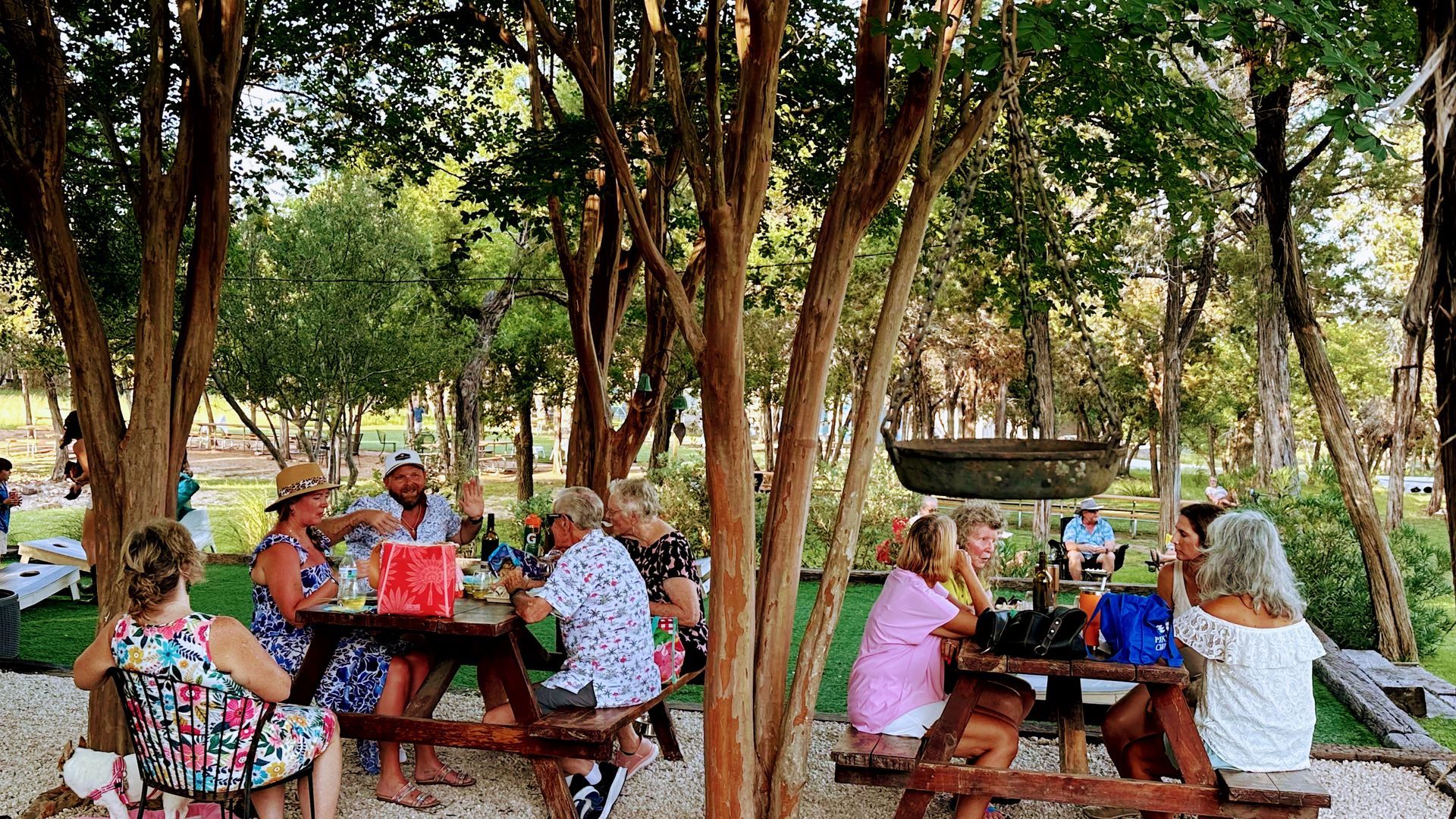 People at picnic tables under trees, enjoying food and drink outdoors.
