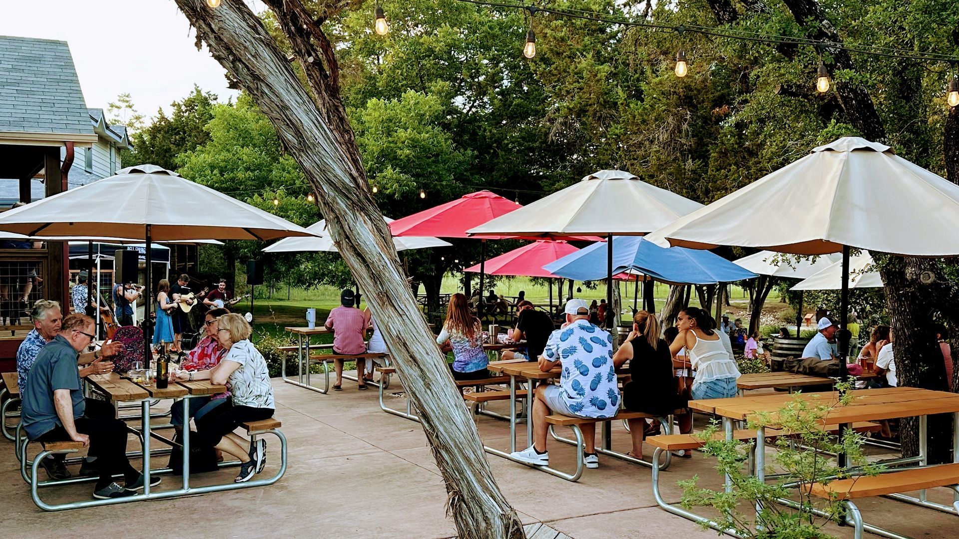 Outdoor dining area with people at picnic tables under colorful umbrellas; trees in background.