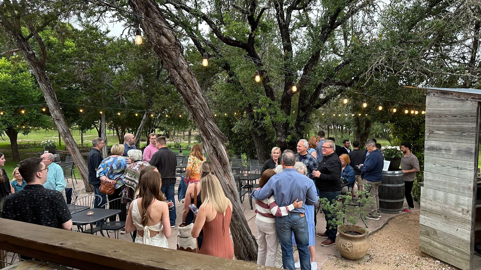 Outdoor gathering under trees with string lights; people socializing.