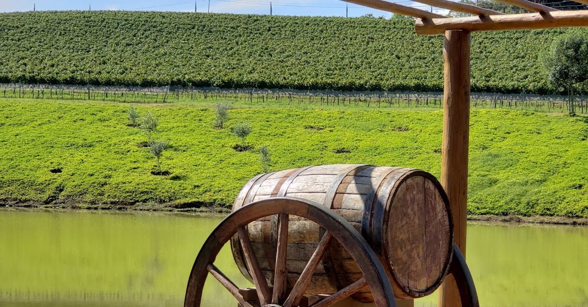 Family enjoying wine and food at outdoor Hill Country winery patio
