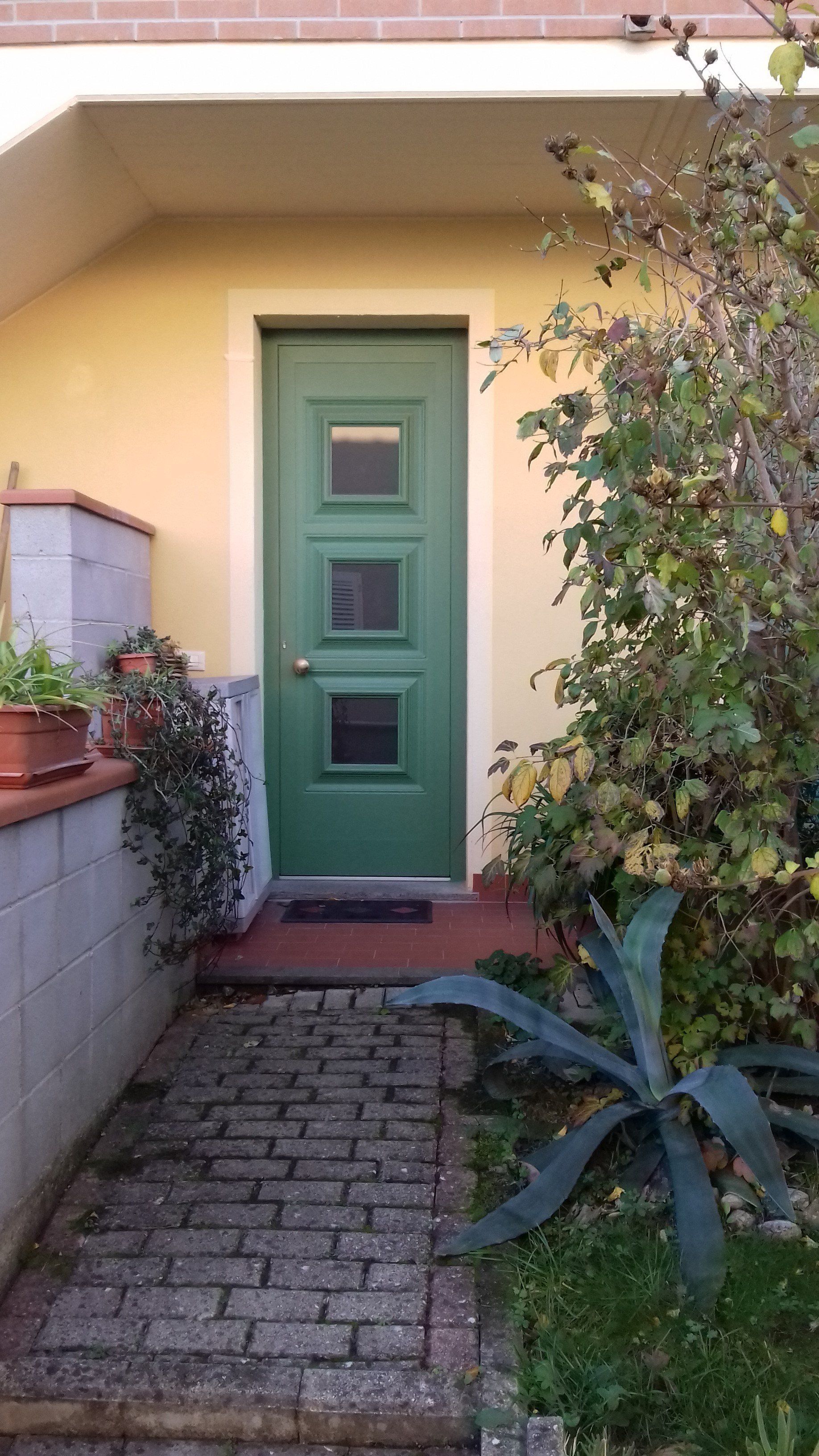 PORTONE D' INGRESSO CON PANNELLO BUGNATO E VETRI