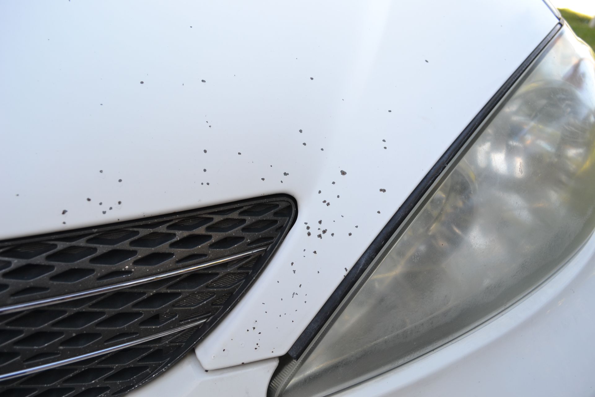 a close up of a white car with black spots on it
