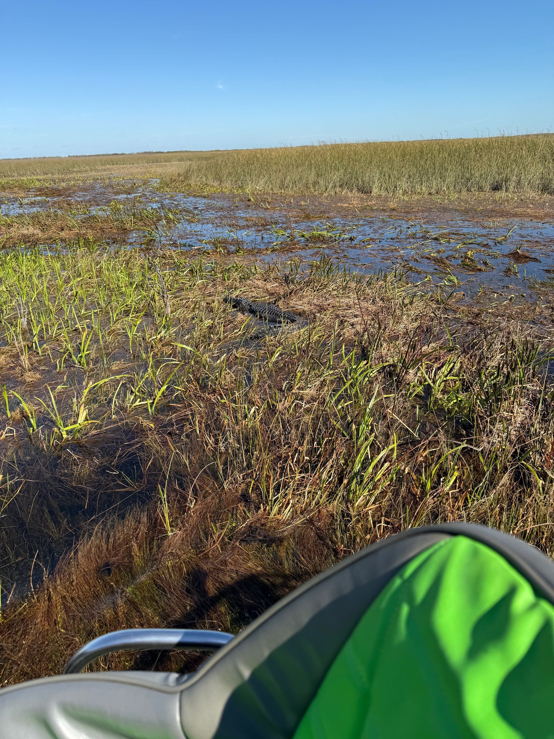 View from a boat seat looking out over a marsh with green and brown vegetation under a clear, blue sky.