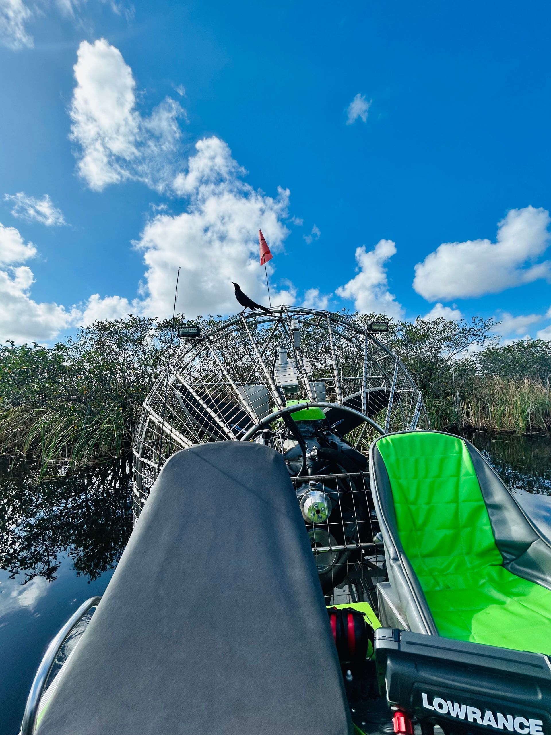 Airboat on water, approaching dense vegetation. Bright blue sky with clouds. Green and black seats.