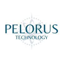 Logo for Pelorus Technology. Text in teal on a white background, with a compass-like graphic.