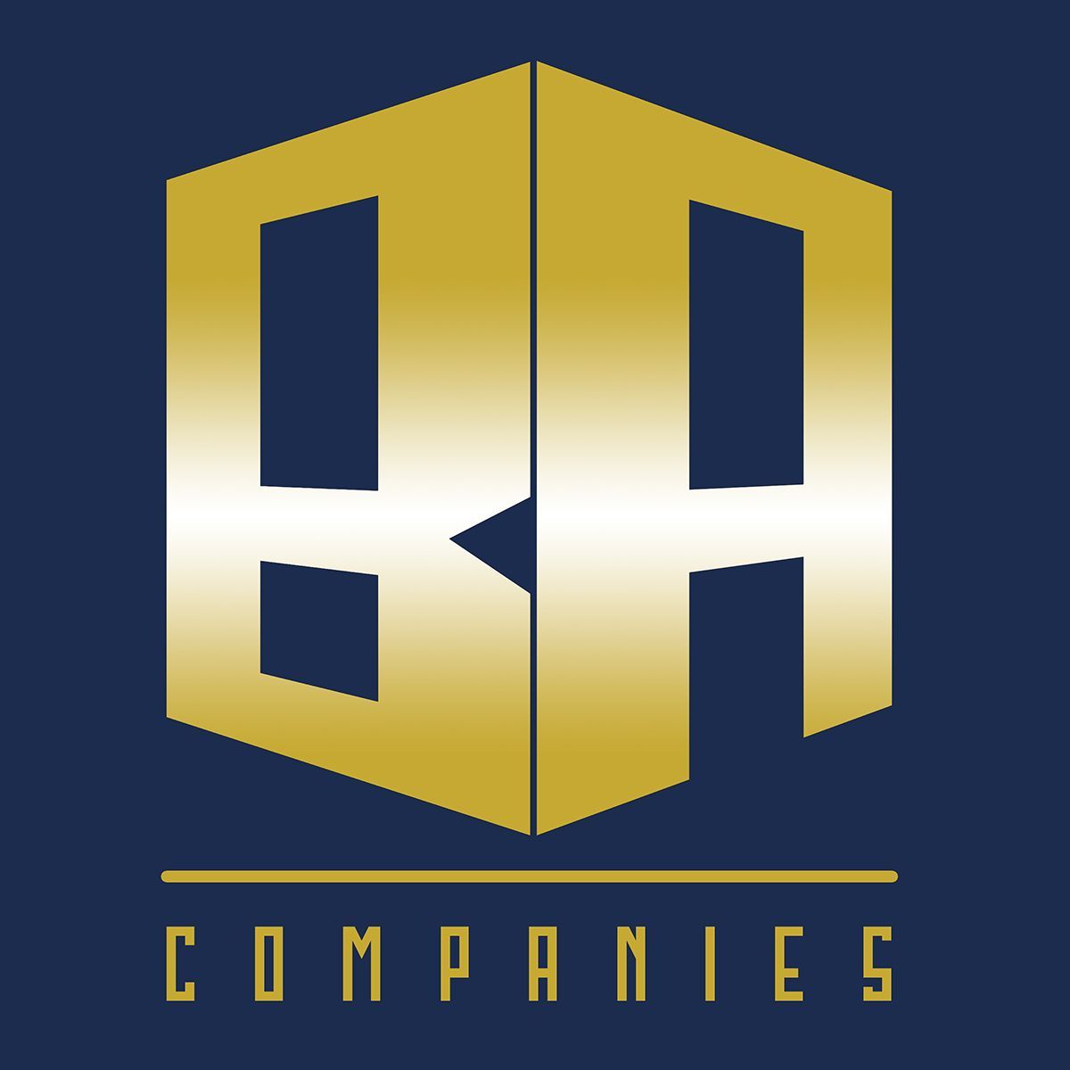 BA Comapnies Logo