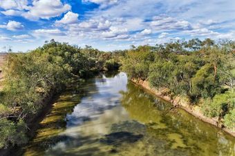 An Aerial View of a River Surrounded by Trees on a Sunny Day — Kareela Constructions In Narrabri, NSW