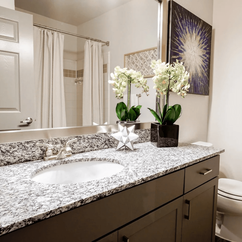 Bathroom sink |  Beck at Wells Branch