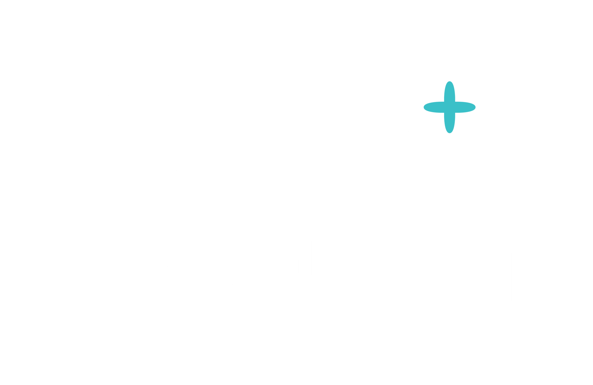 North Search Executive Search firm, Sydney