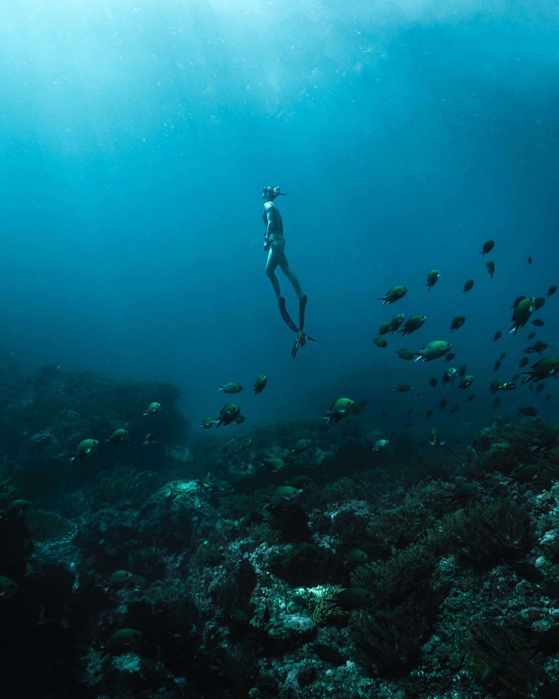 This image shows a person diving underwater.