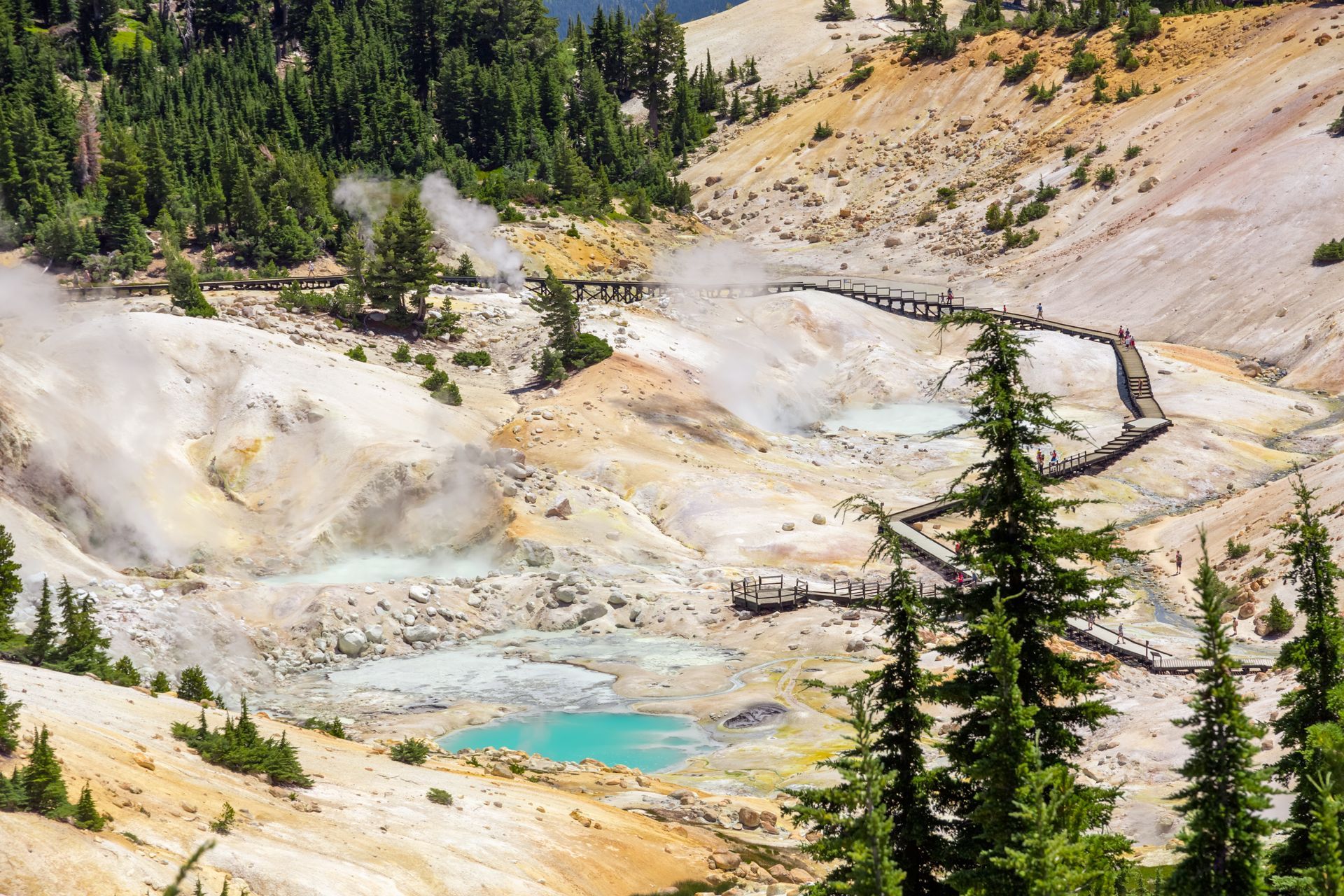 A view of a hot spring in the middle of a forest.