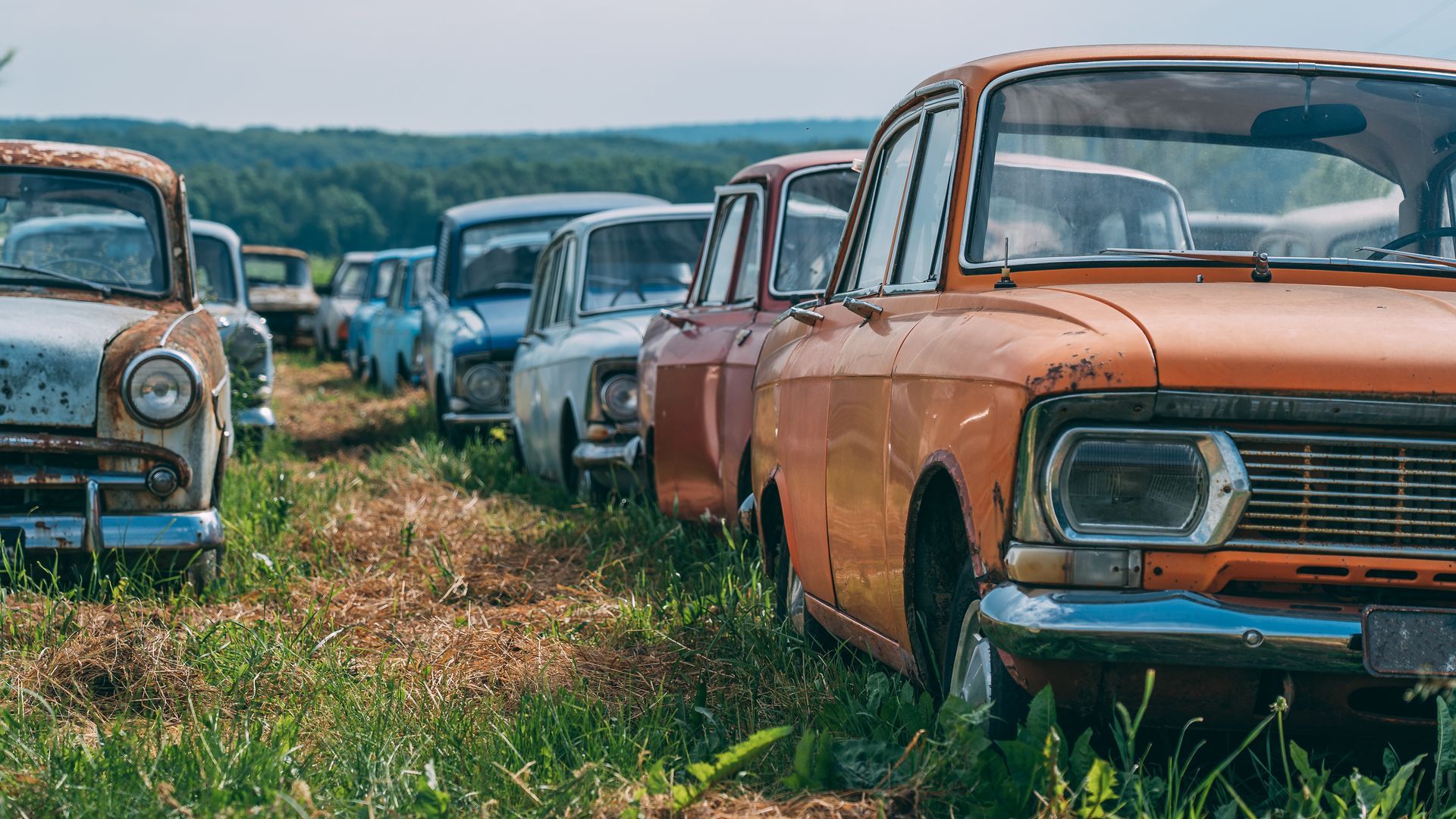 Rows of old, rusty cars parked in a grassy field on a sunny day.