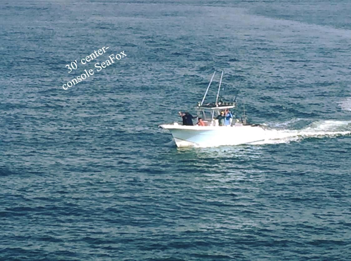 White SeaFox boat moving across blue water.