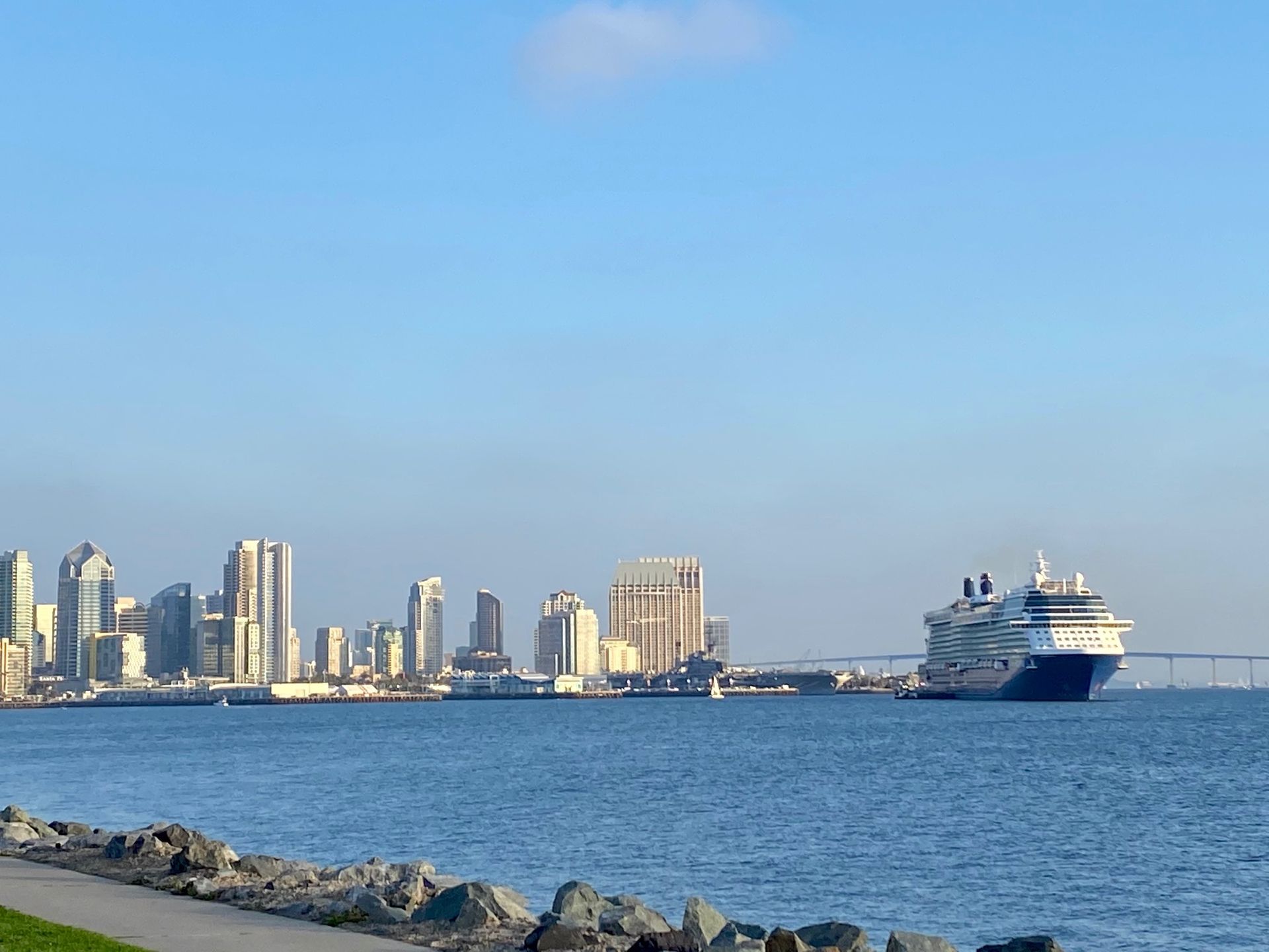 San Diego skyline and a large cruise ship on the calm blue water under a clear, bright sky.