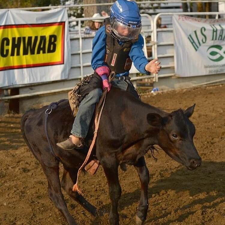 Child riding a black calf at a rodeo. Wearing helmet, vest, and chaps | Genesis Automotive and RV Repair