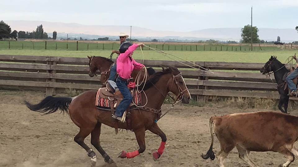 Cowgirl on a brown horse roping a cow in a dusty rodeo arena | Genesis Automotive and RV Repair