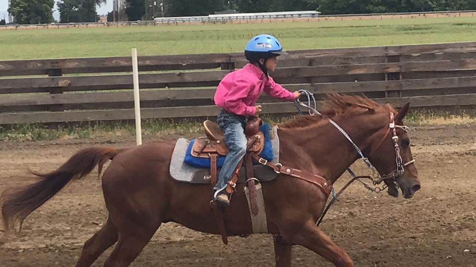 Child in pink shirt and blue helmet riding a chestnut horse in a ring | Genesis Automotive and RV Repair