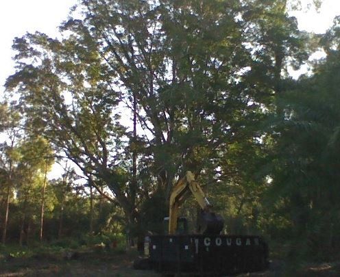 Backyard Grading — Alva, FL — Campions Landscaping & Grading, Inc.