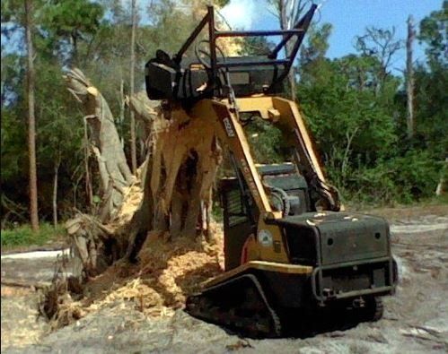 Tree Removal — Alva, FL — Campions Landscaping & Grading, Inc.
