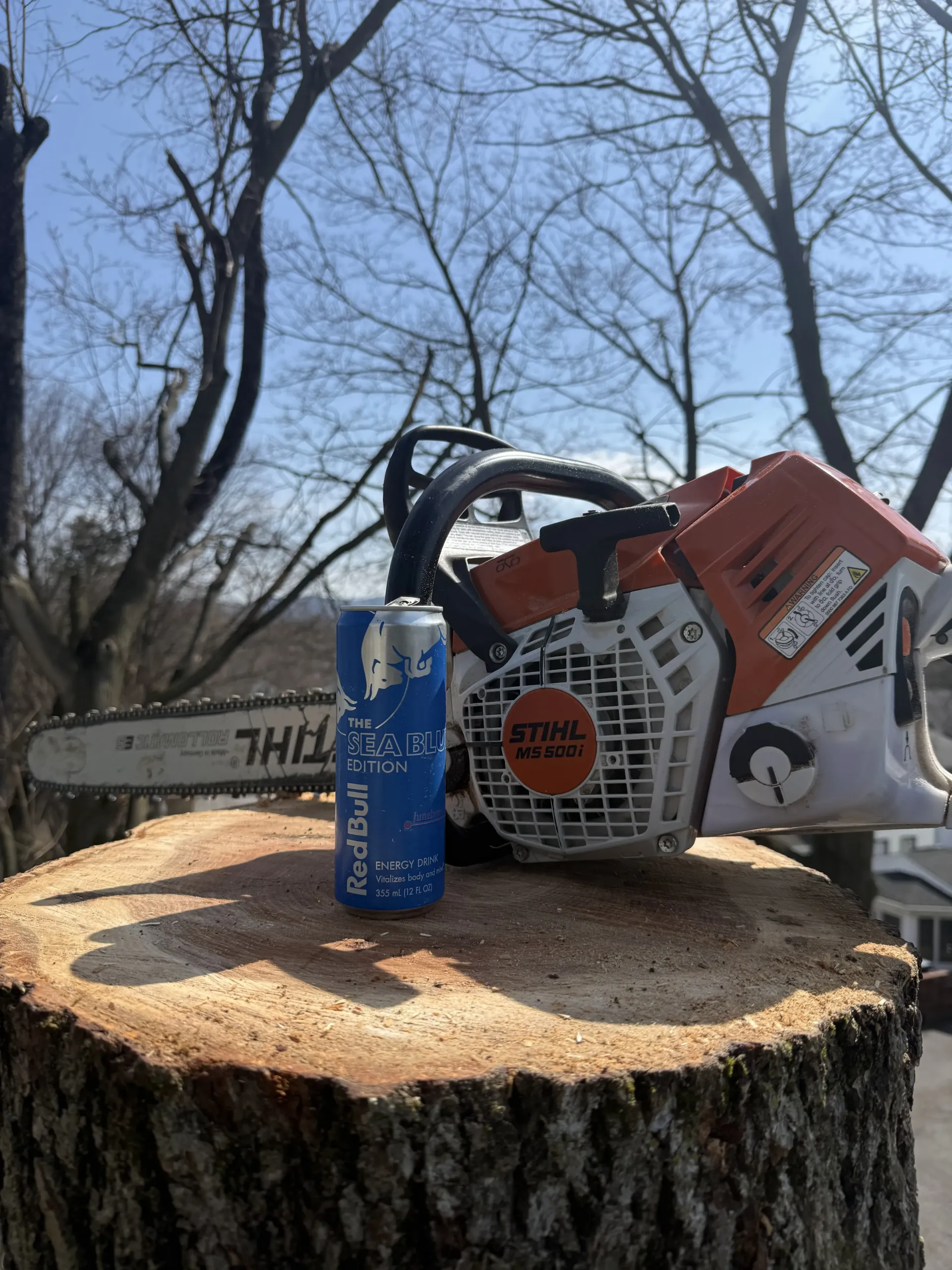 Chainsaw, blue can, and white container resting on a cut tree stump outdoors in a wooded area.