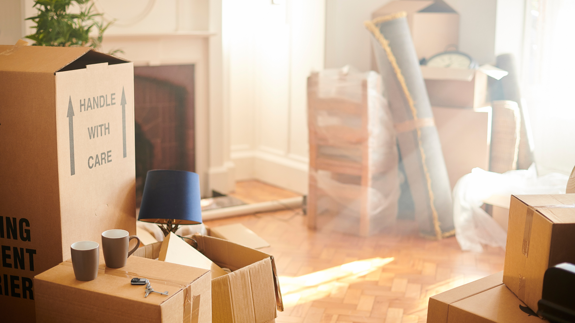 A living room filled with cardboard boxes and a lamp.