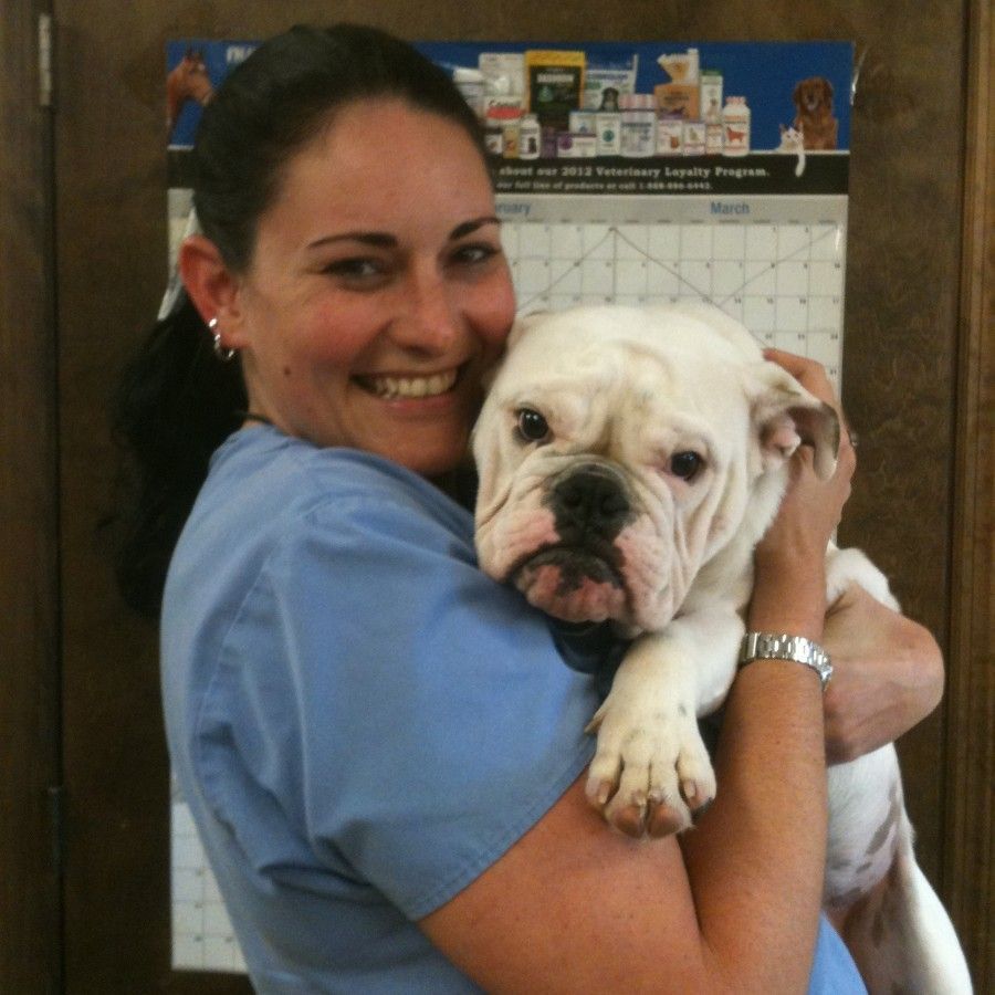 Dr. Trotter, DVM