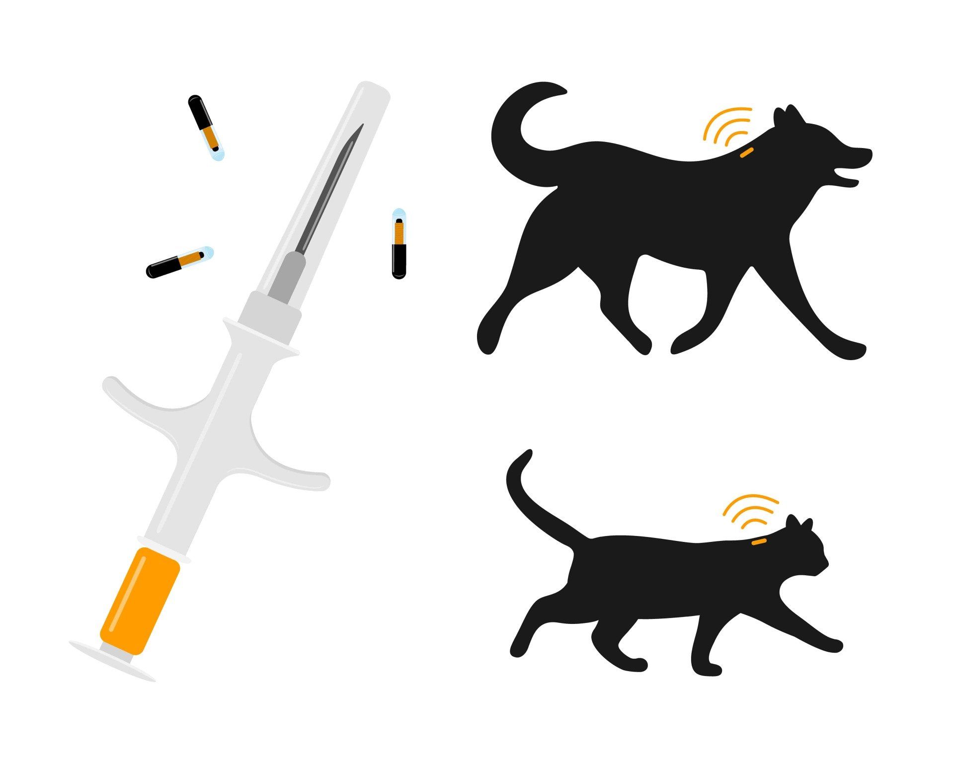 syringe with microchip, dog and cat silhouette with RFID transponder