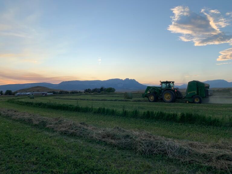 Mark Young Outfitters About Gallery Image