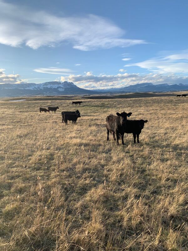 Mark Young Outfitters About Gallery Image