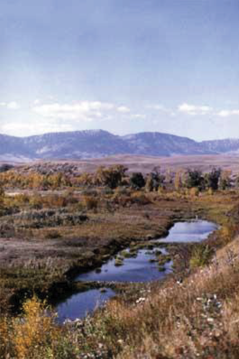 Mark Young Outfitters About Gallery Image