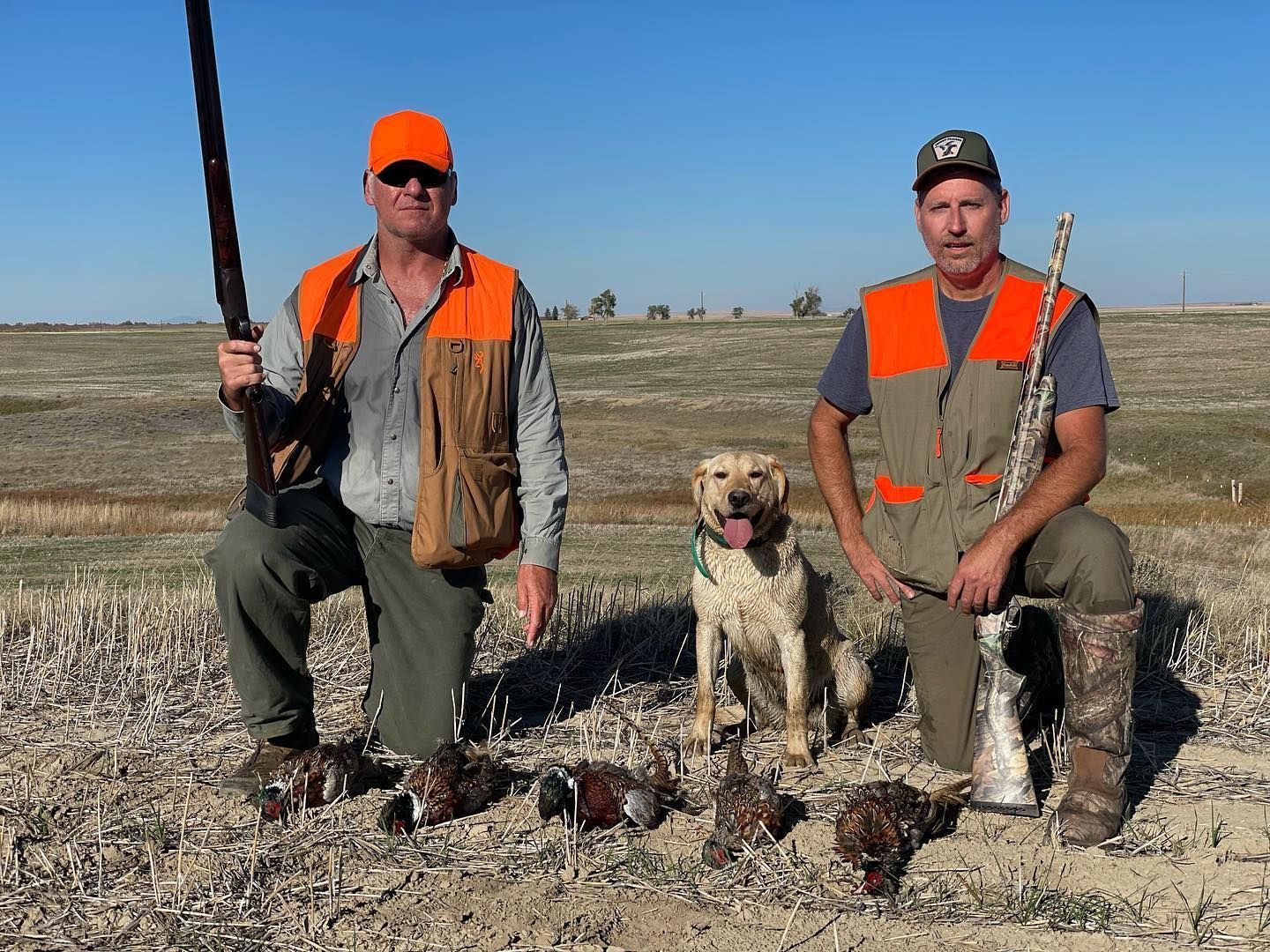 Mark Young Outfitters Gallery Image