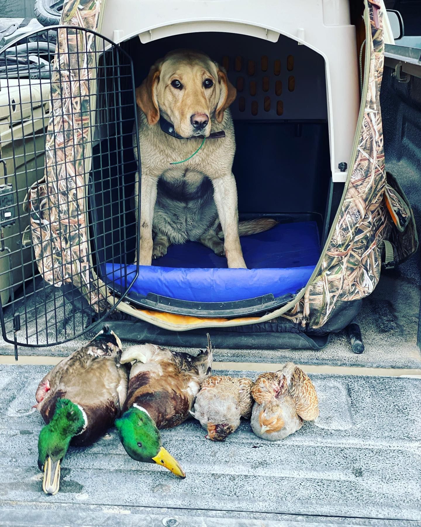 Mark Young Outfitters Gallery Image