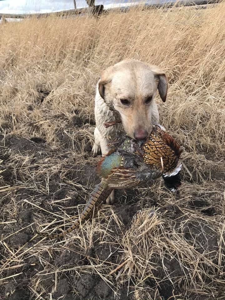 Mark Young Outfitters Gallery Image