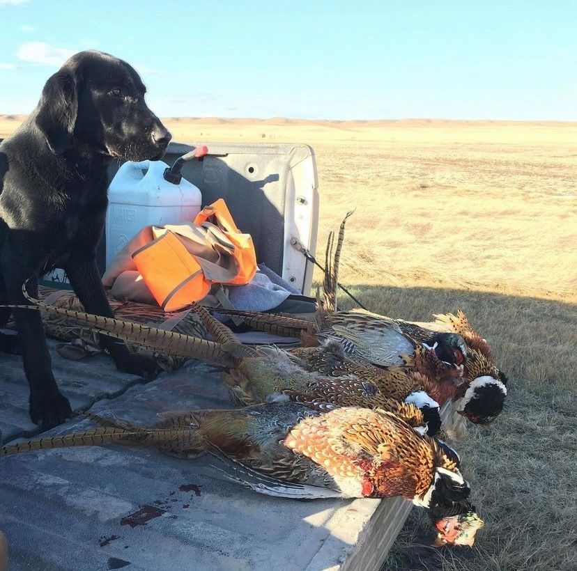 Mark Young Outfitters Gallery Image