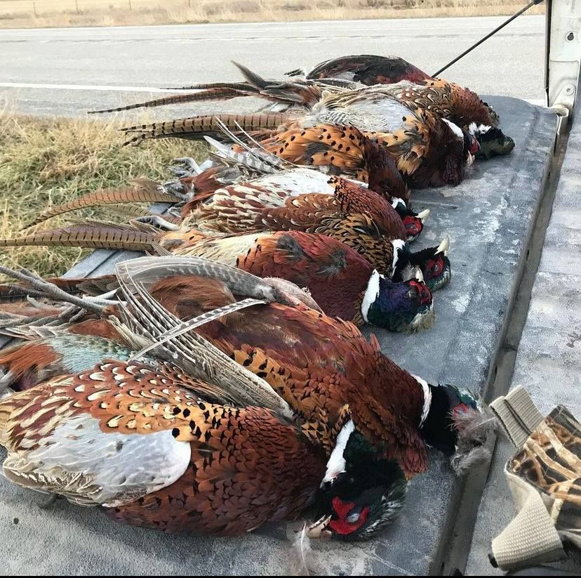 Mark Young Outfitters Gallery Image