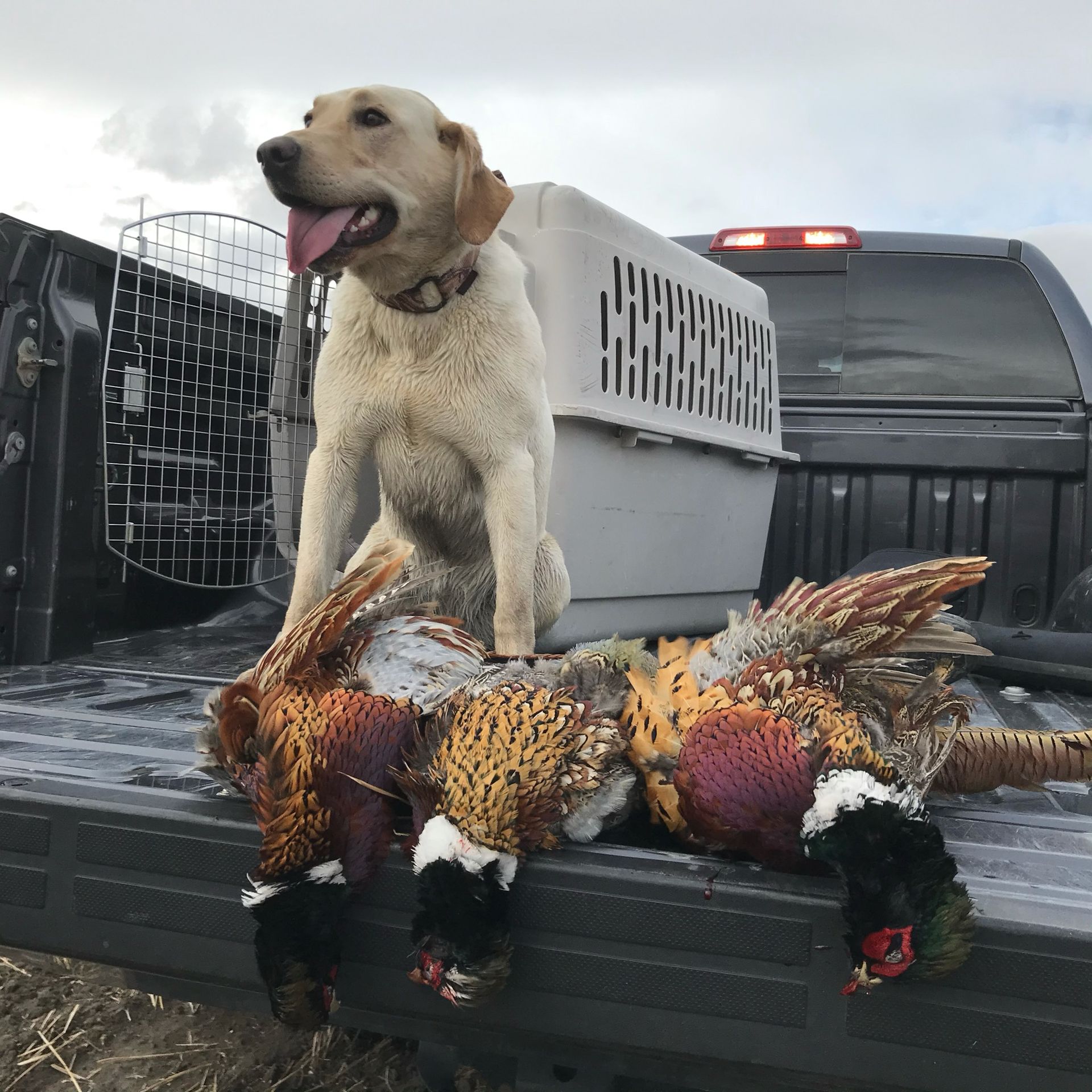 Mark Young Outfitters Gallery Image