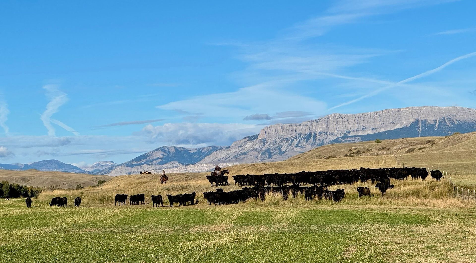 Mark Young Outfitters Gallery Image