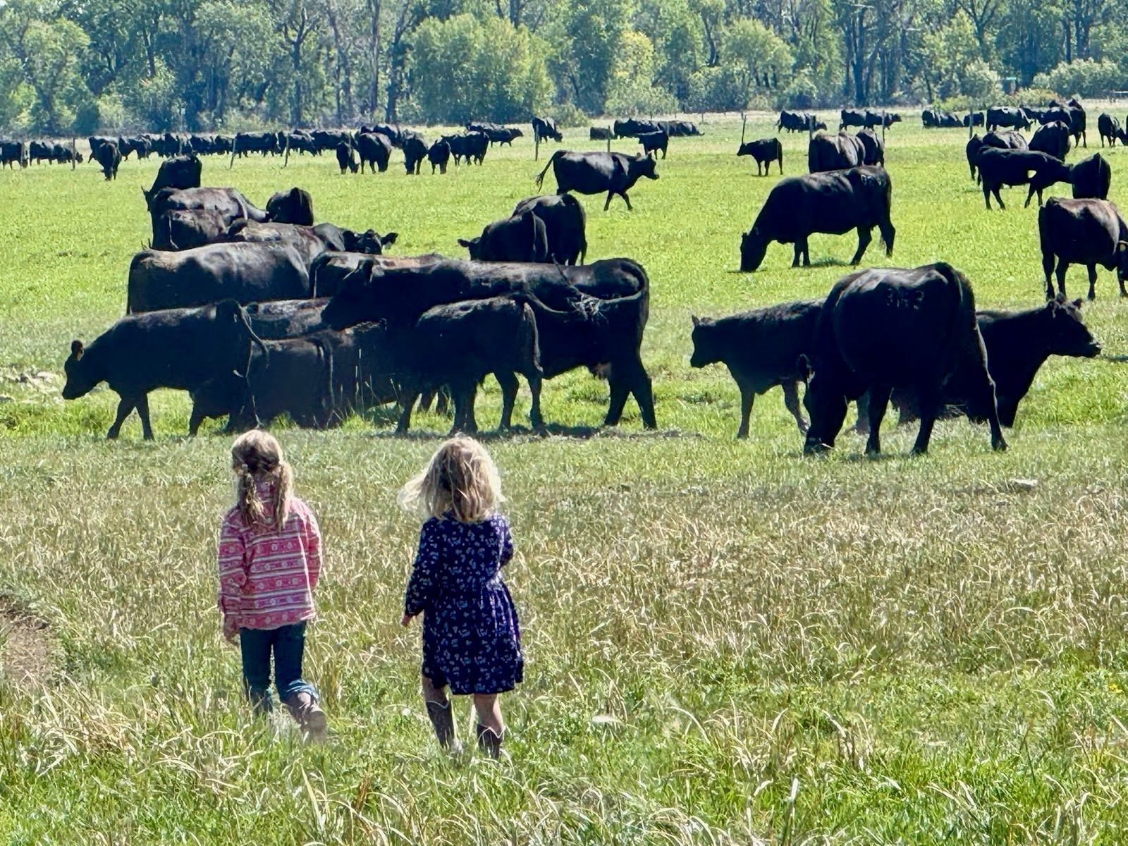 Mark Young Outfitters Gallery Image