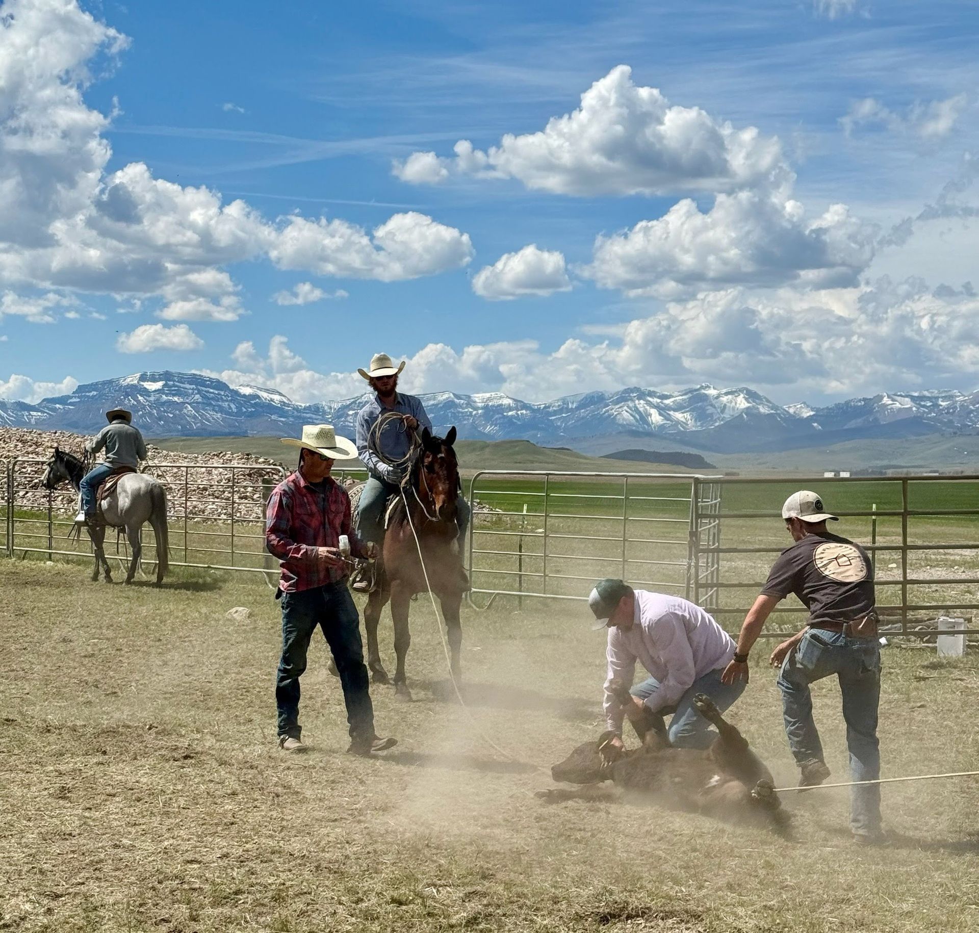 Mark Young Outfitters Gallery Image