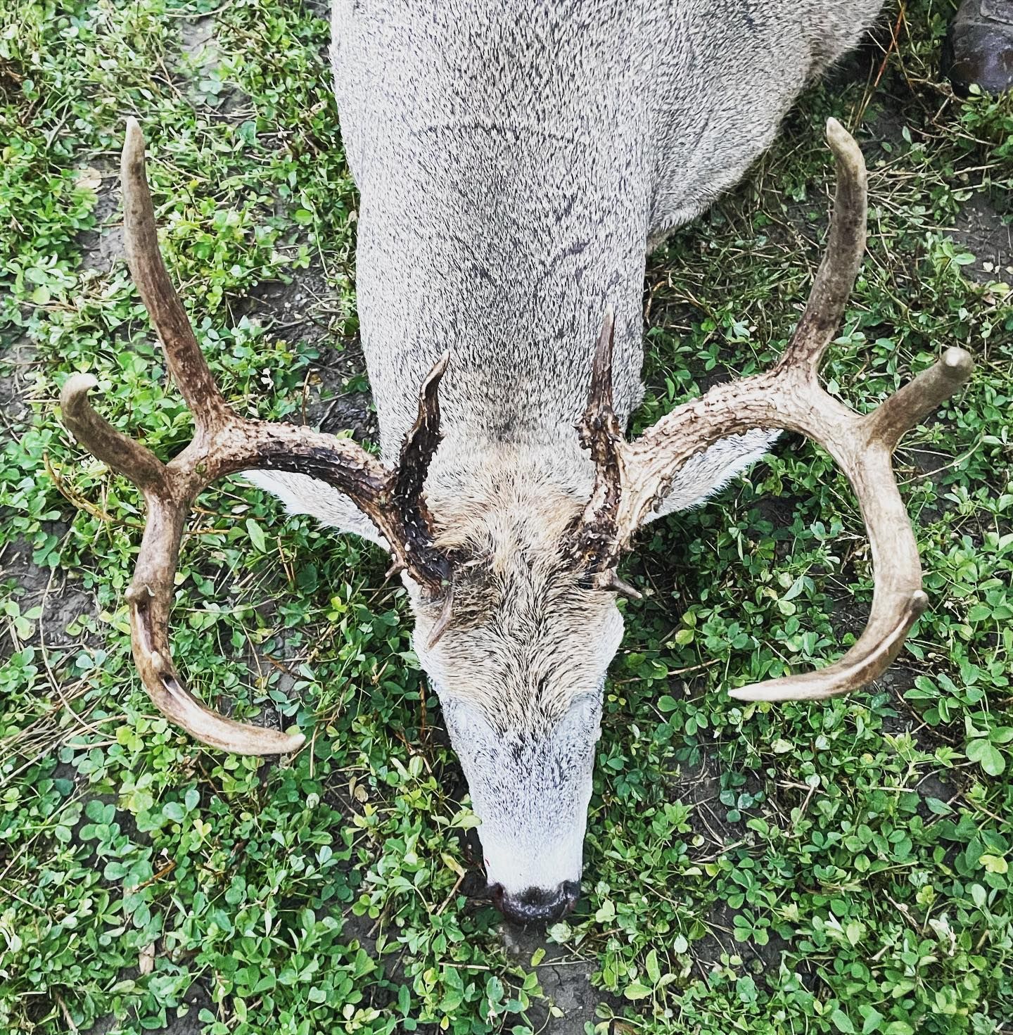 Mark Young Outfitters Gallery Image