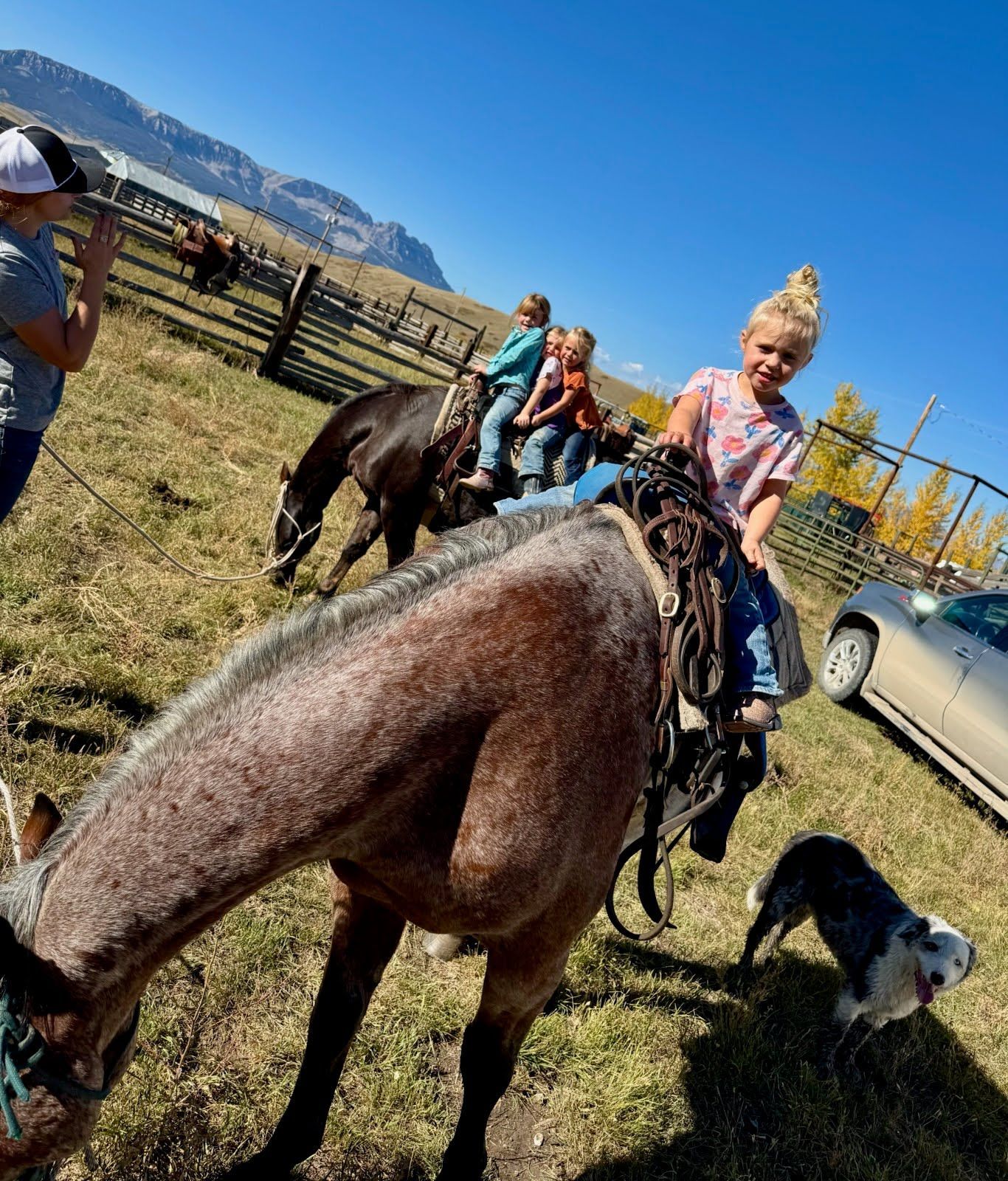 Mark Young Outfitters Gallery Image