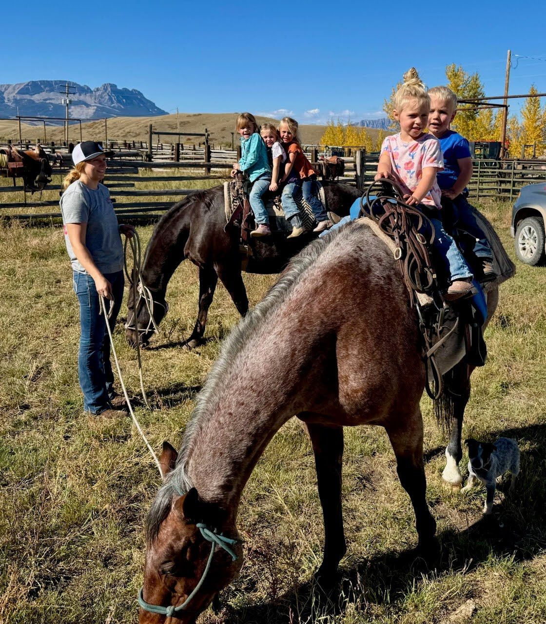 Mark Young Outfitters Gallery Image