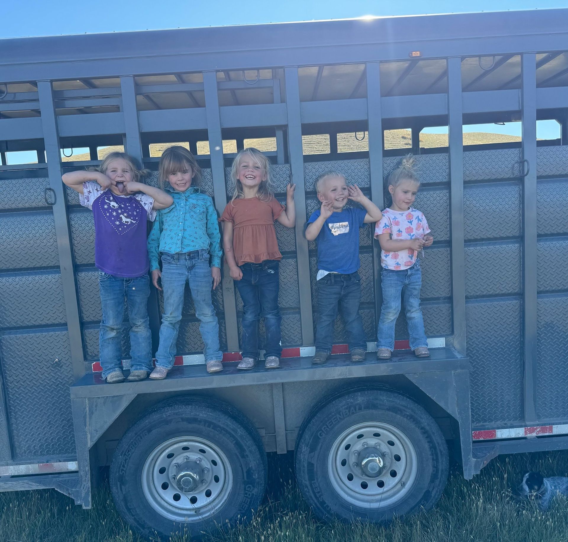 Mark Young Outfitters Gallery Image