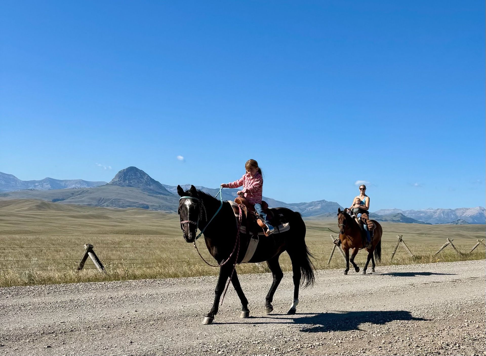 Mark Young Outfitters Gallery Image