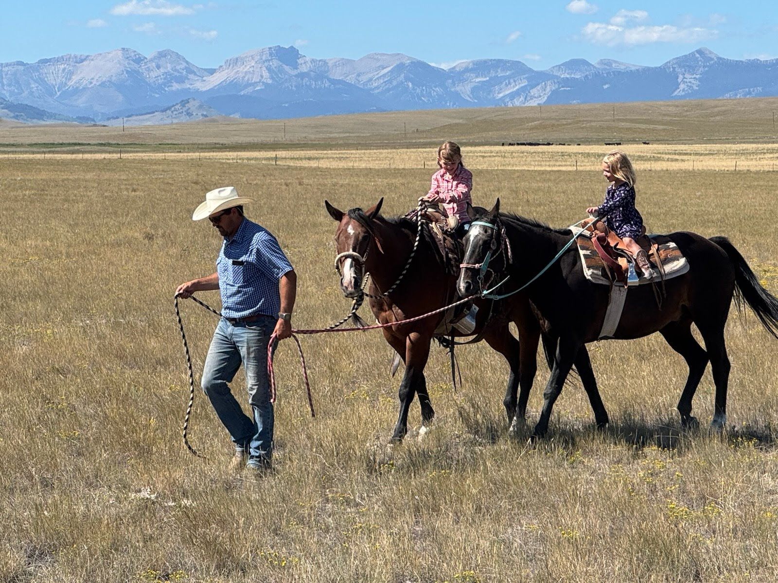 Mark Young Outfitters Gallery Image