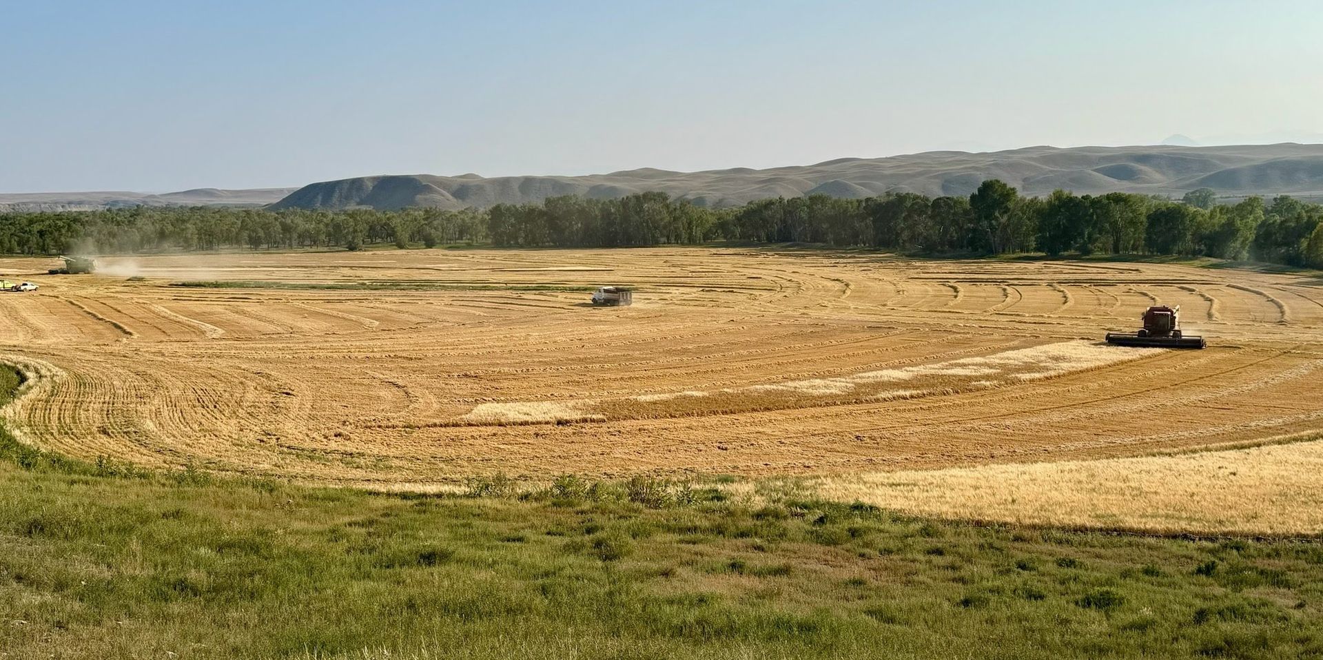 Mark Young Outfitters Gallery Image