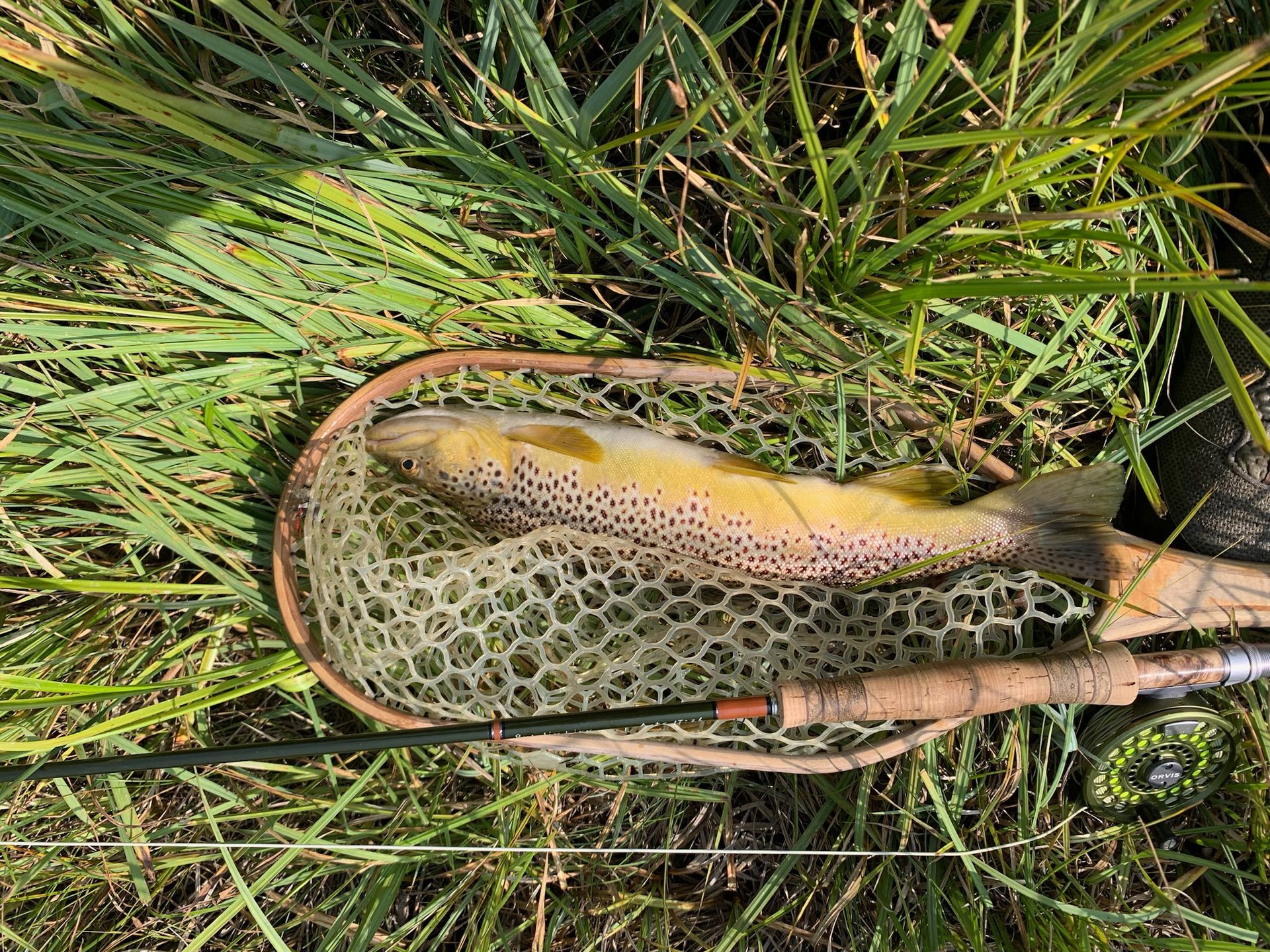 Mark Young Outfitters Gallery Image