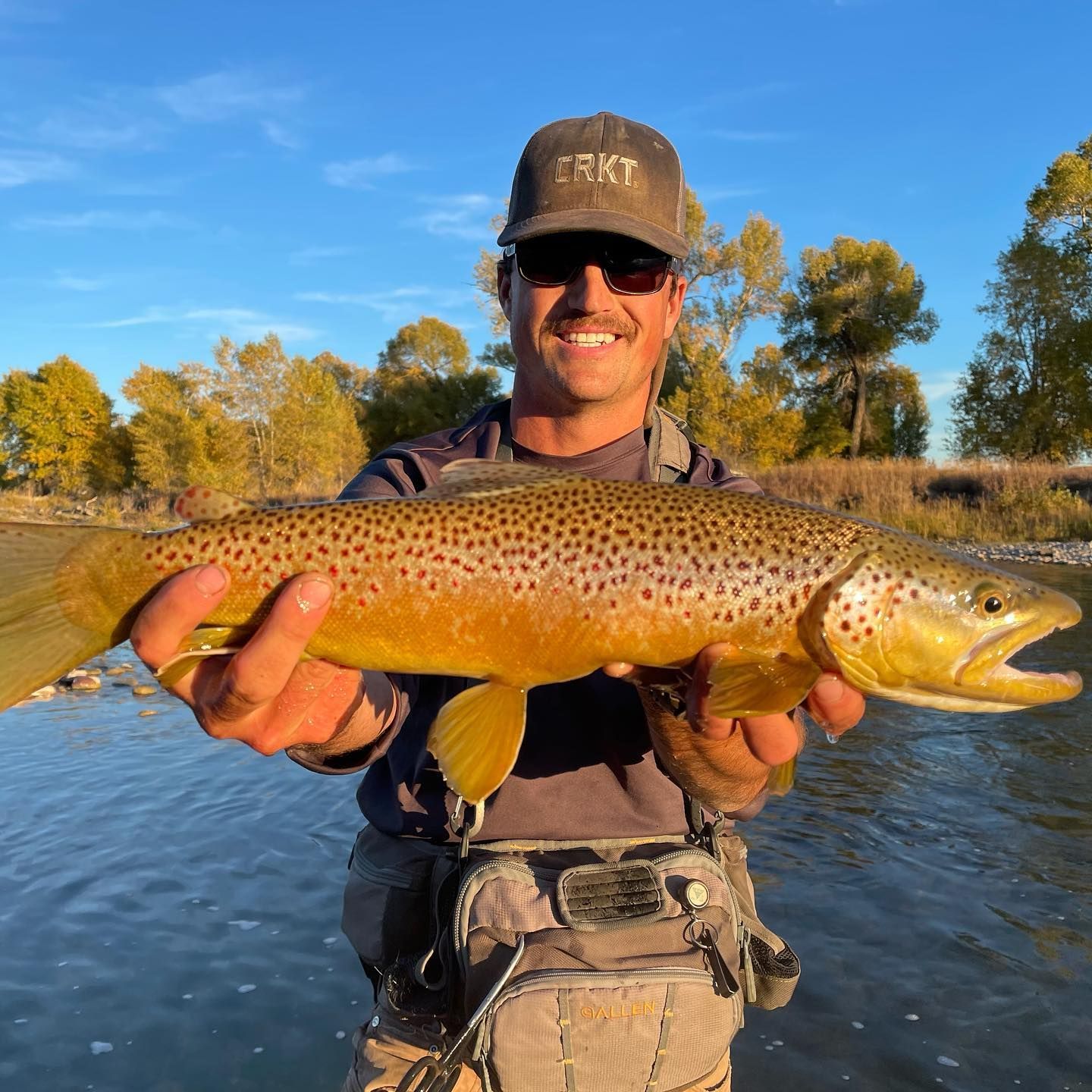 Mark Young Outfitters Gallery Image