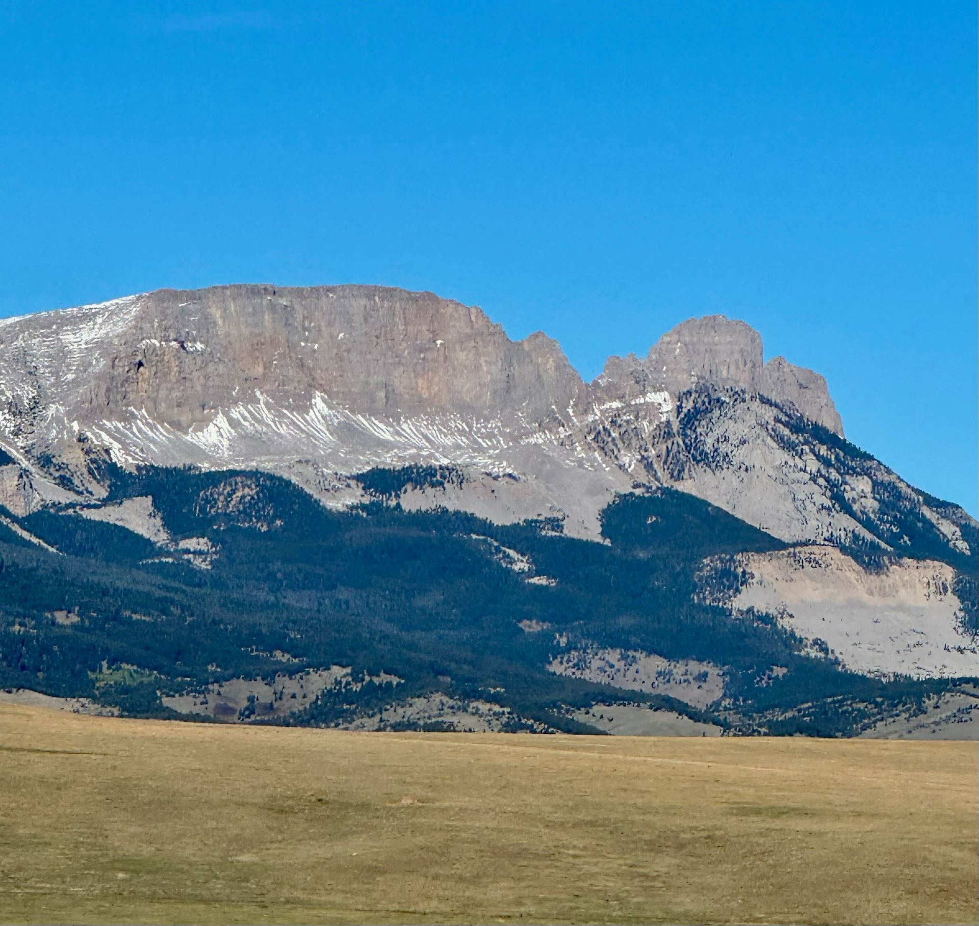 Mark Young Outfitters Gallery Image